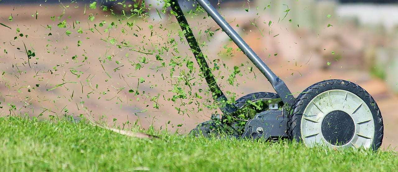 découvrez des conseils et des astuces pour l'entretien de votre pelouse, y compris des recommandations pour la tonte, l'arrosage et la fertilisation, afin d'obtenir un jardin verdoyant et sain tout au long de l'année.