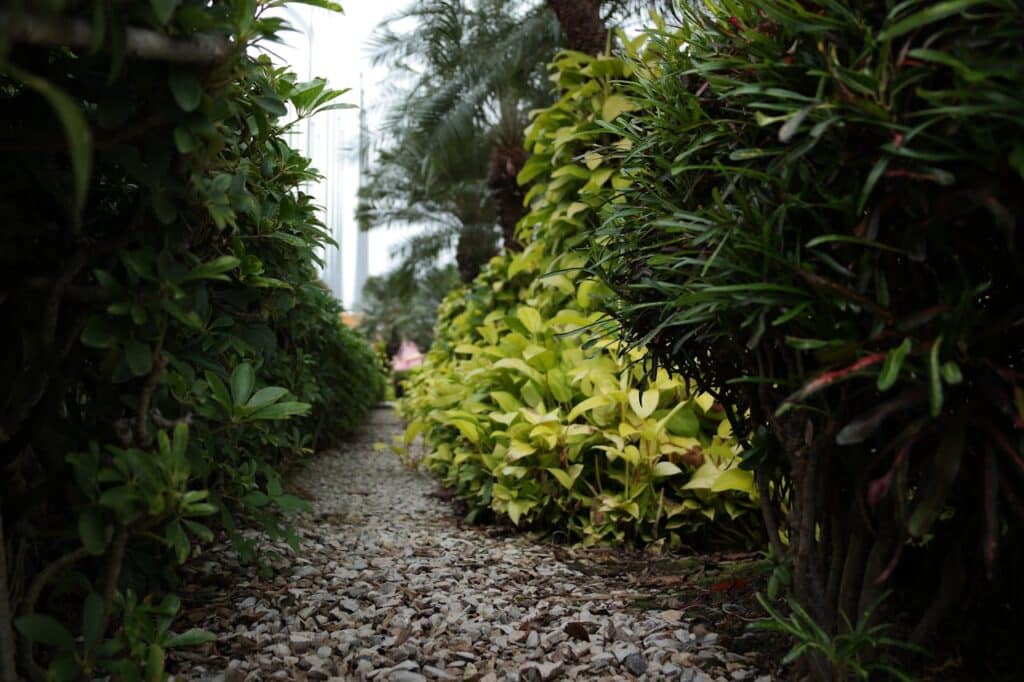 un jardin ombragé